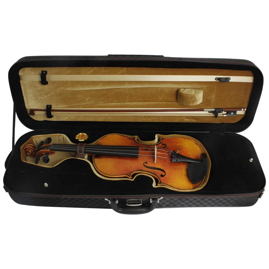 

Professional Sturdy Violin Case 4/4 Full Size, Black Violin Hard Case with Hygrometer, Lock, Adjustable Straps