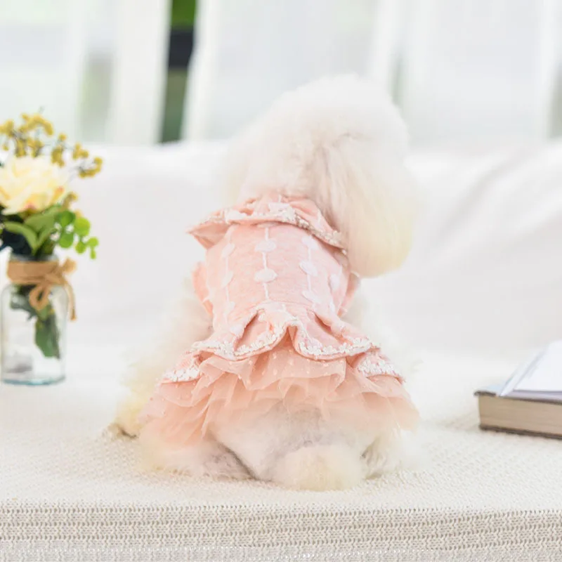 Голубое, розовое, Размеры S-xl, теплое платье принцессы для собак, осень и зима, два фута, платье для домашних животных, зимняя одежда для собак, кружевное платье