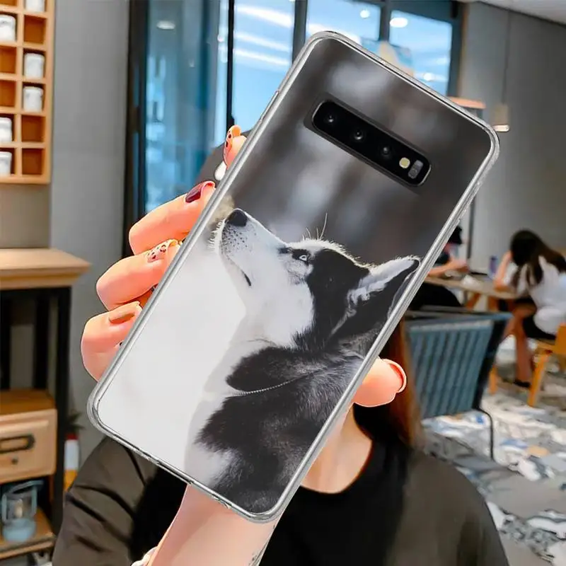 Чехол для телефона Husky dog Samsung S6 S7 edge S8 Plus S9 S10 plus E(lite) | Мобильные телефоны и