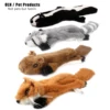Pet Products