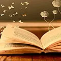 YXH book Store