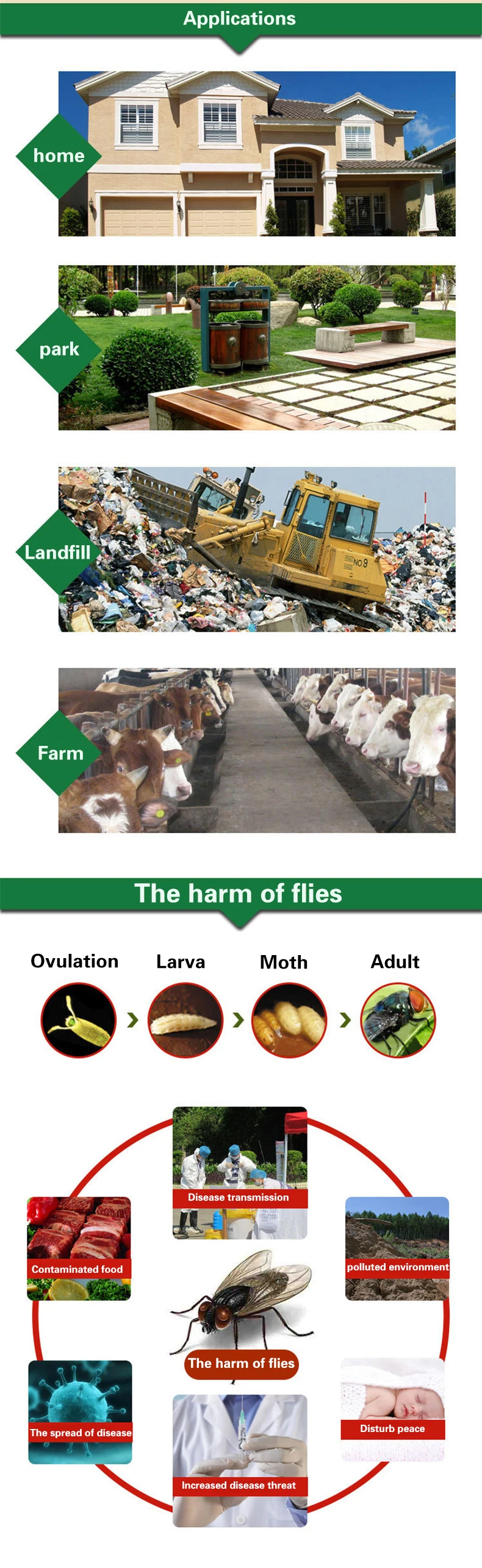 10904998034_816602305