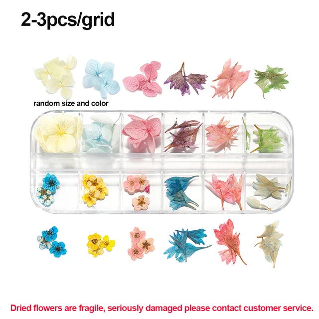 1Box Dried Flowers Dry Plants for Rsein Molds Fillings Epoxy Resin Pendant Tweezers Jewelry Making Craft DIY Nail Art Decoration Style 10