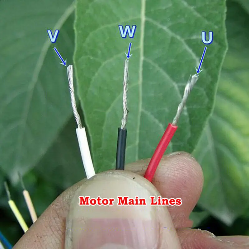 s-l1600 (6)