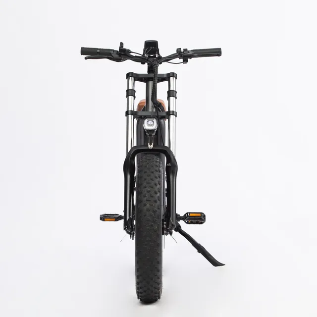 Traveling electric assisted bicycle 48v 750w motor 624 wh 6
