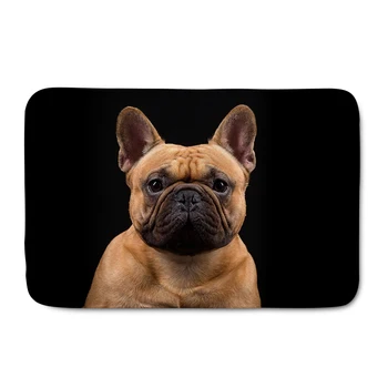

Upetstory Adorable Bulldog Labrador Print Door Mat for Living Room Soft Flannel Absorbent Bathroom Doormat Welcome Floor Carpet