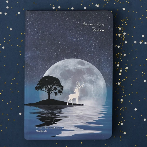 Moonlight Dream notebook A5 светящийся твердый переплет блокнот цветная страница дневник 1 шт - Цвет: D