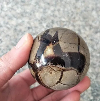 

Natural septarian sphere septarium Natural Dragon Stone Septarium Fossil Crystal Sphere Ball Healing