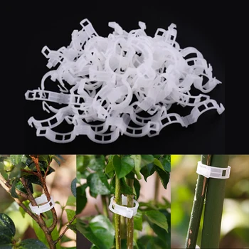 

50Pcs/Lot Plant Clips Plant Fixing Clips Garden Plants Flowers Tied Bundle Branch Clip Clamping Tools Garden Supplies