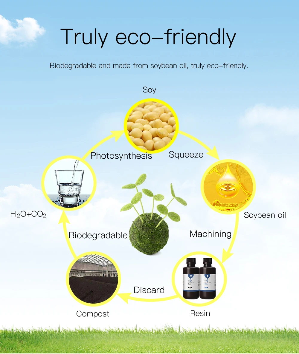Weddings & Events