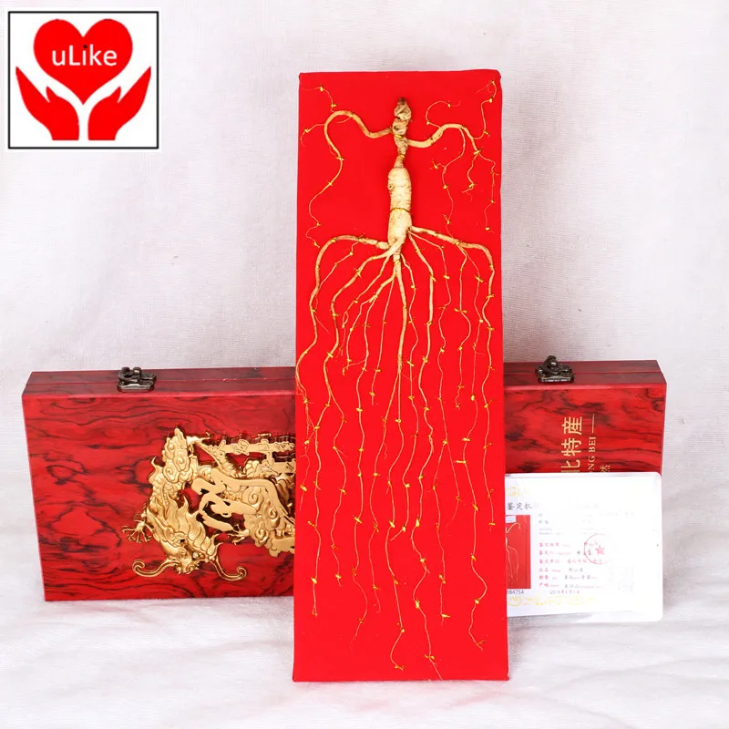 

Wild Dry Panax Ginseng Gift Box Certified Root Net Weight 8-10g