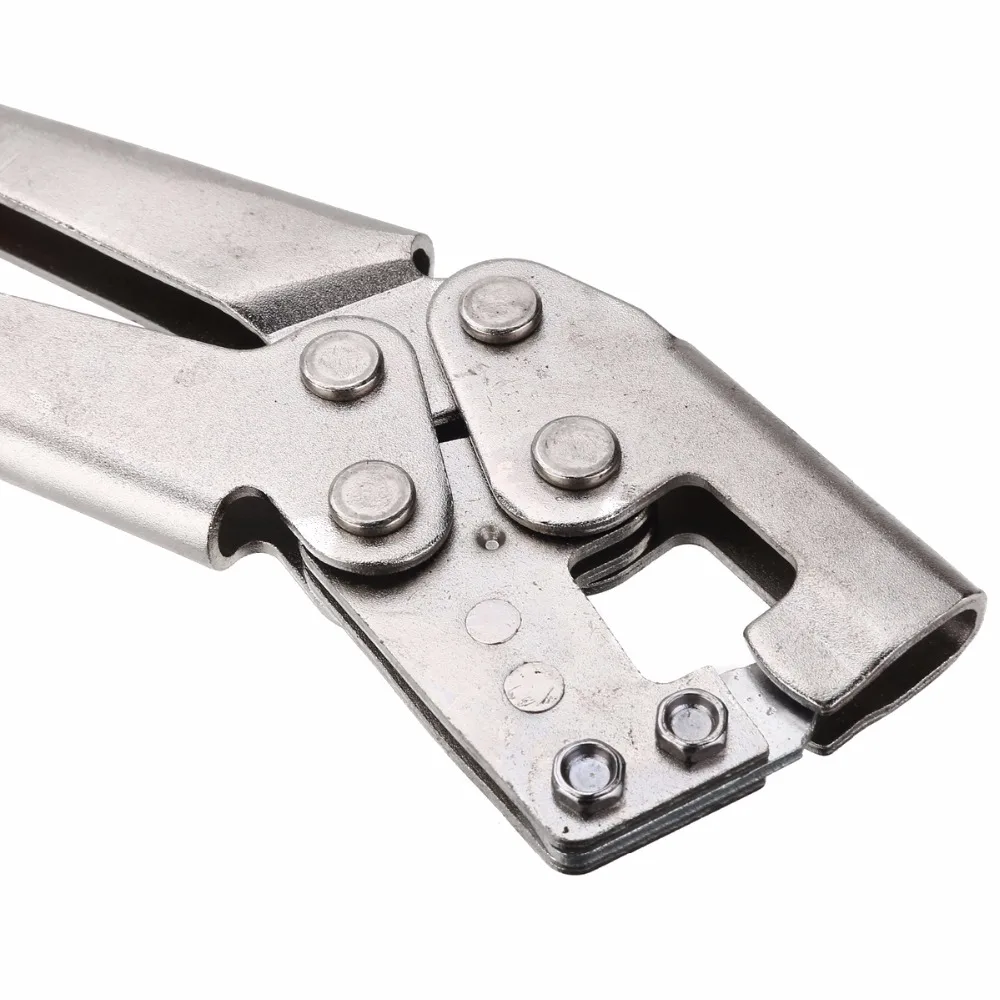 1ce3057d-3215-4792-8497-f283f2d261e9_