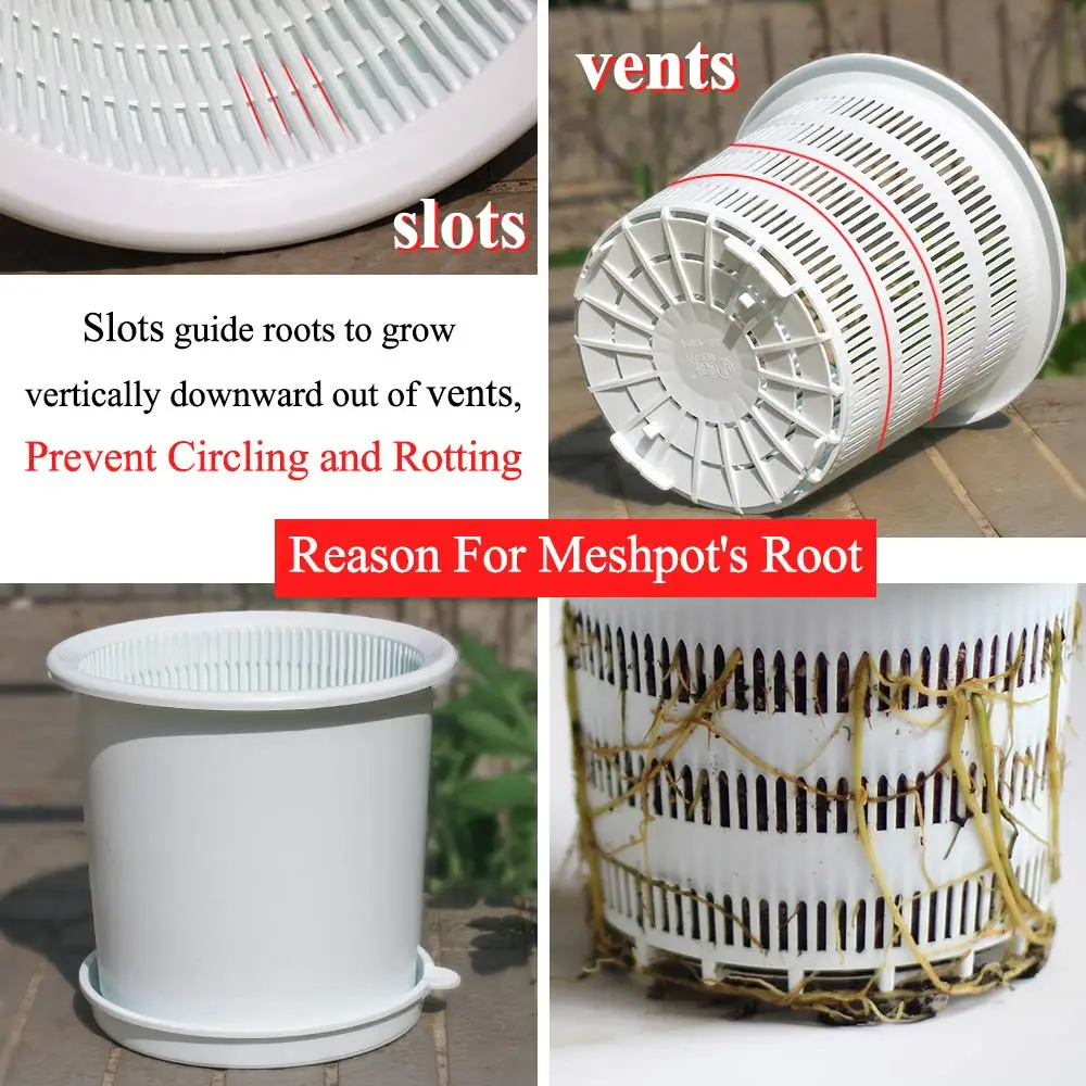 Meshpot 2 pack 6.3 Inches Plastic Orchid Pots With Holes - 2 Inner Pot,2 Outer Pot,2 Tray and 1 free  4inch pot as gift