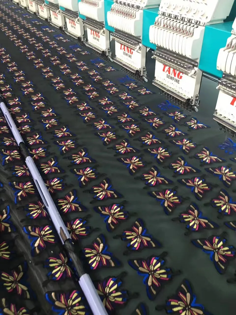 4597743166_355663081