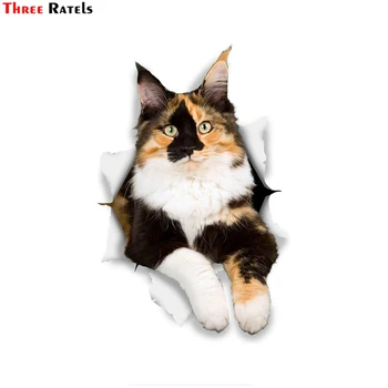 

Three Ratels FC61 3D Cat Stickers Calico Decal for Car Truck Windshield Door Wall Refrigerator Window Toilet Ipad Laptop Home