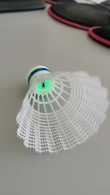 Suzakoo Feather Pattern Luminous Badminton Balls Nine Outdoor Playing_voghion.com