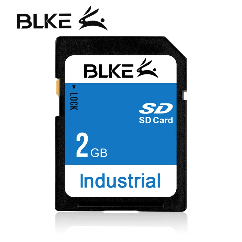 SD 2GB BLKE SD карта 128MB 256MB 512MB 1GB 2GB 4GB 8GB карта памяти для Mitsubishi M80 рекламная машина 3D принтер ЧПУ Цифровая камера - Емкость: SD 2GB