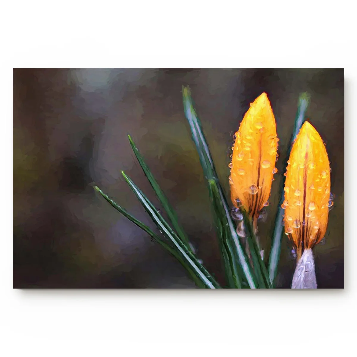 Впитывающий Коврик для кухни ванной с желтыми цветами | Дом и сад