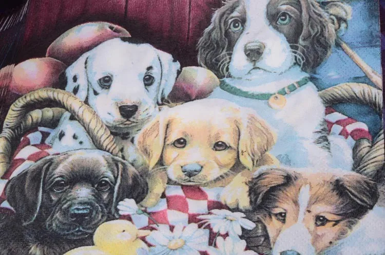 HTB15cpJHpXXXXb4apXXq6xXFXXXa