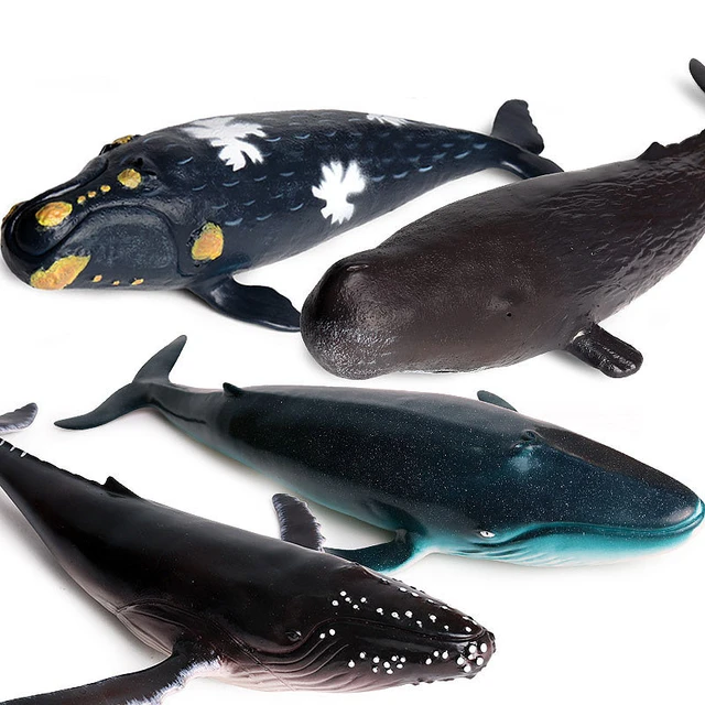 アイヌ工芸 アカム マッコウ鯨 樺太アイヌ 子供玩具