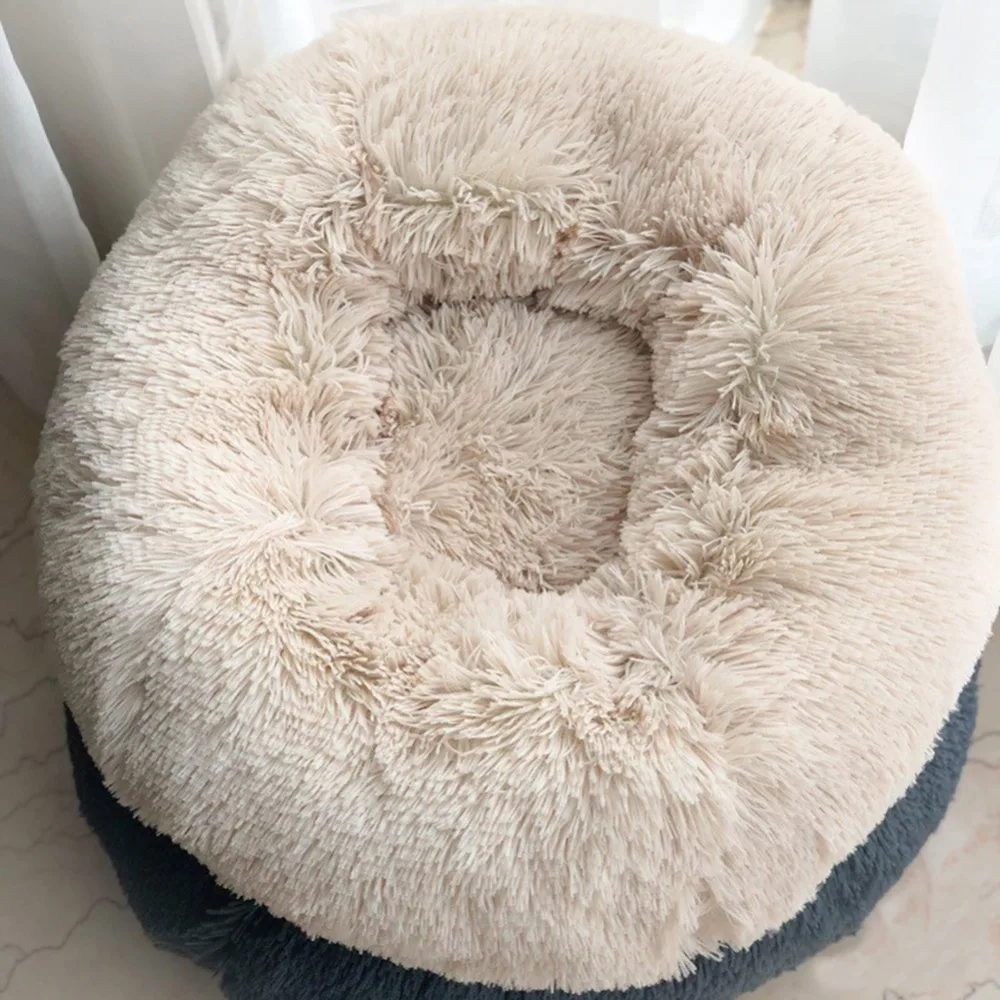 303378_no-logo_303378-1-02-g