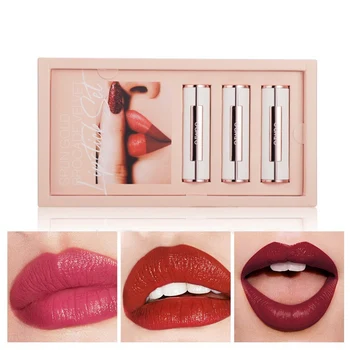 

3 pcs Lip Balm Tint Waterproof Lipstick Set Lips Makeup Kit Matte Lipstick Comestic Set