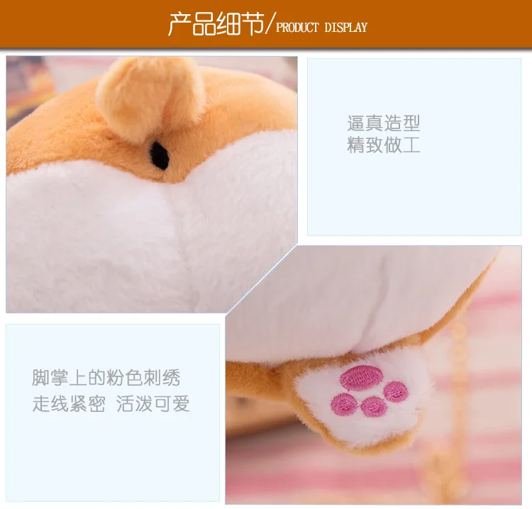 3555096002_1725432878