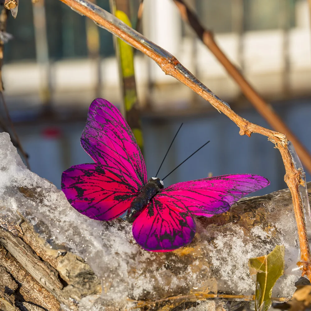 Butterfly Wedding Bouquet  Butterfly wedding theme, Butterfly