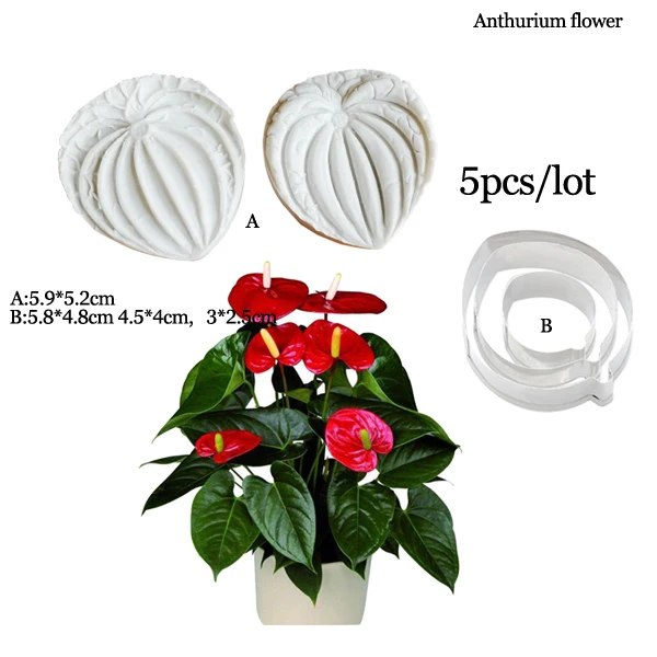 Anthurium Petal Silicone Veiner Molds