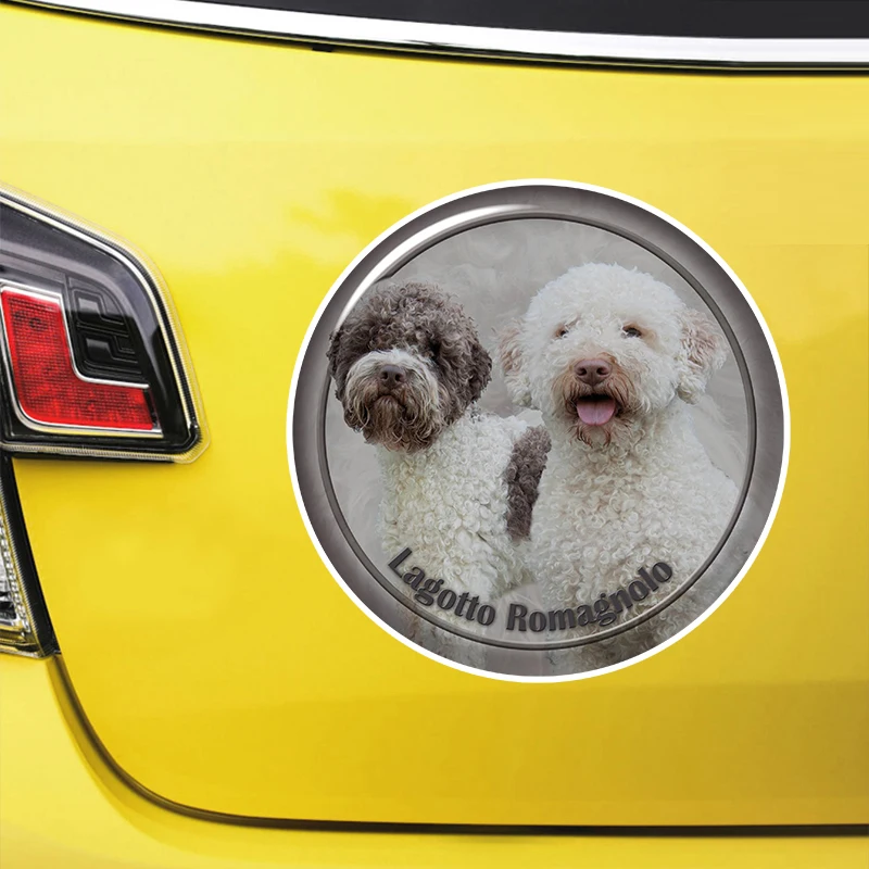 

Lagotto Romagnolo Self-adhesive Decal Car Sticker Waterproof Auto Decors on Bumper Rear Window Laptop Choose Size #S60911