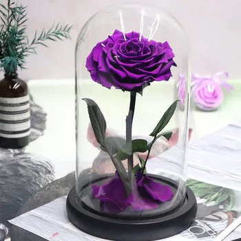 

Eternal Rose Beauty and The Beast Galaxy Rose Dry Flower Teak on Head Glass Dome Wooden Base for Bedroom Decor Mothers Day Gift