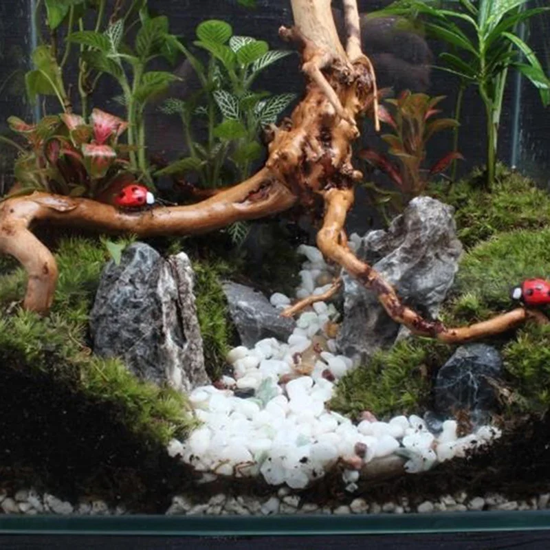 Натуральное дерево ствол driftwwood аквариума делая растение украшение Рыбы Орнамент цилиндрическая древесина рептилий корни бака