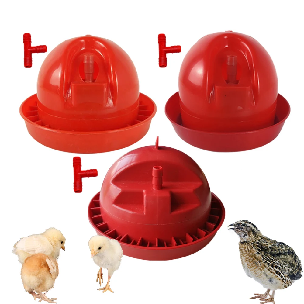 Kettle-Dispenser Watering-Waterer Drinking-Bowl Chick Automatic Fountain Plastic-Day-Old