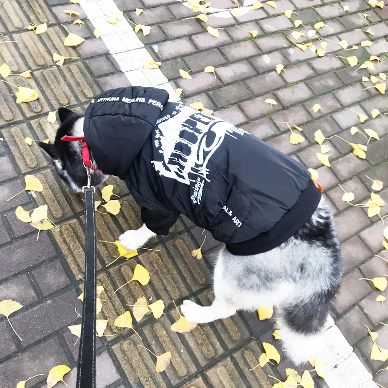 O1CN01R0zXXr1JF7lBe3giu_!!90640998