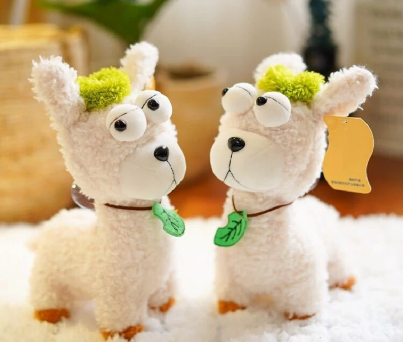 11456502372_1369725111