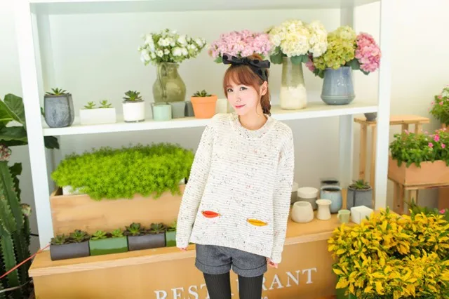 Loose Cashmere Sweater Pullovers Women Fashion Winter Sweater O-neck Knit Tops Owl Character with Pocket Korean