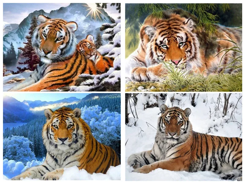 5D DIY Алмазная картина тигр Снежная гора Алмазная вышивка животное вышивка крестиком Смола домашнее украшение с бриллиантами