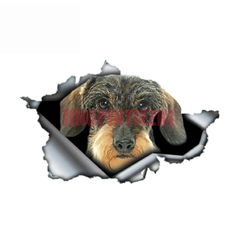 

Creative Decal Dachshund Torn Car Sticker on Motorcycle Laptop Decorative Accessories Racing Helmet Motorcycle Laptop Stickers