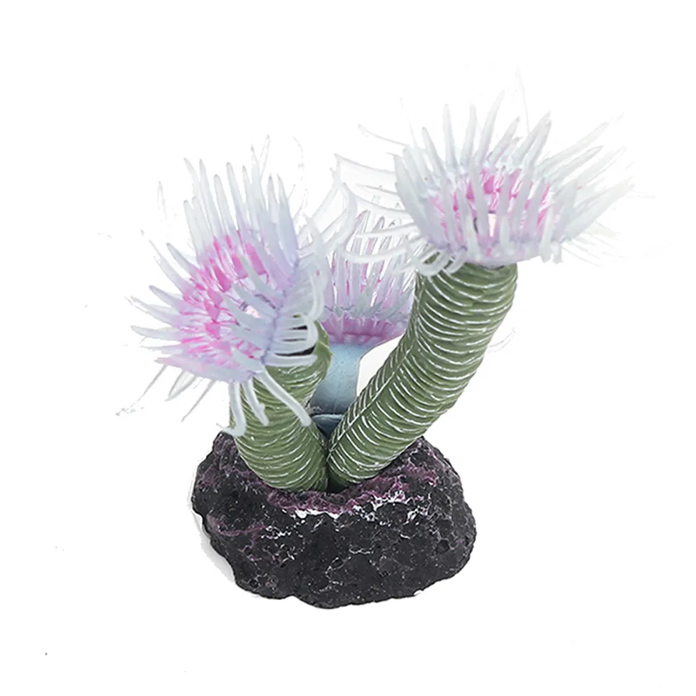 HG11579A1