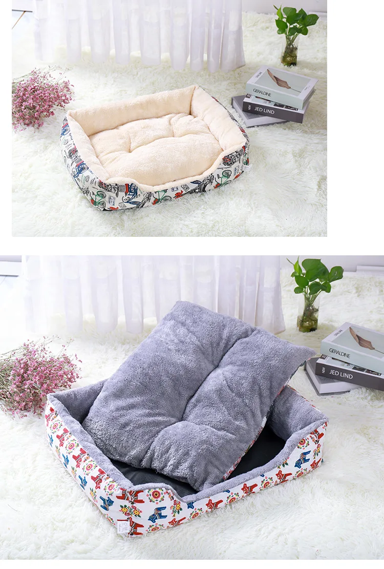  why would my dog pee on my bed