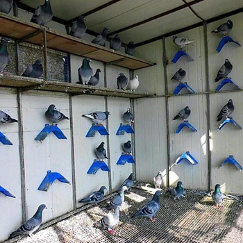 

20pcs High Durability Pigeon Birds Rooster Chicken Rest Stand Roost Perches