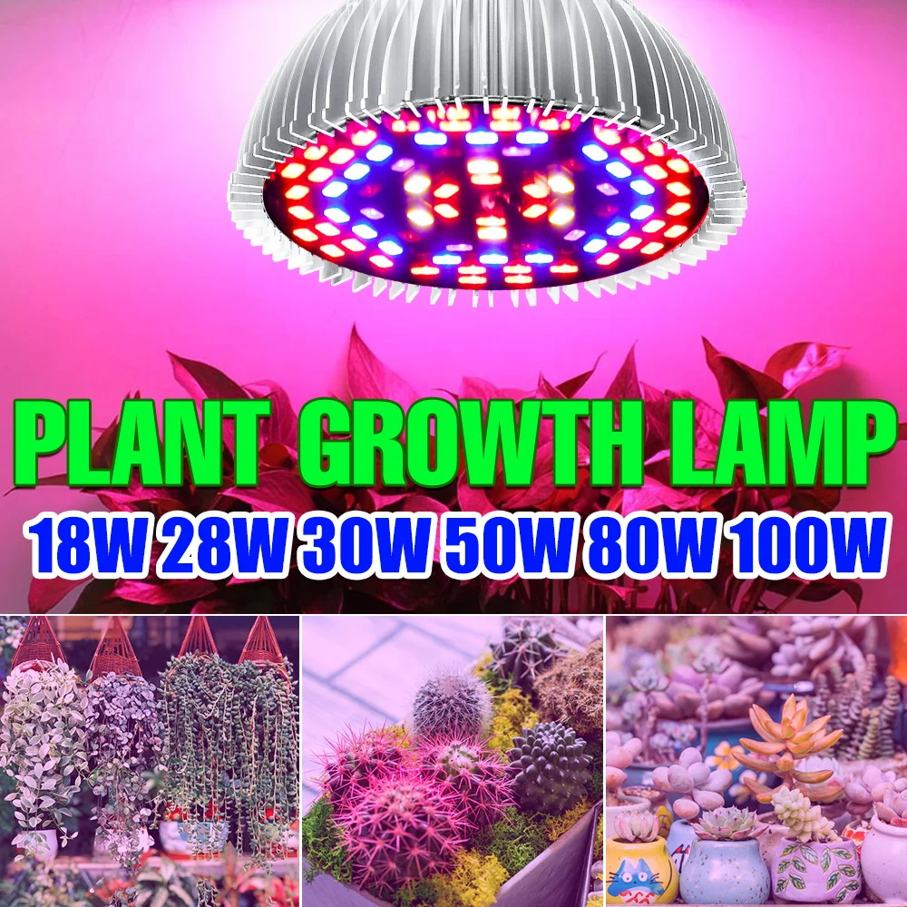 E27 Full Spectrum LED Grow Light 220V Phyto Lamp For Plants E14 Seedlings Bulb 18W 28W 30W 50W 80W 100W LED Veg Flower Fitolampy