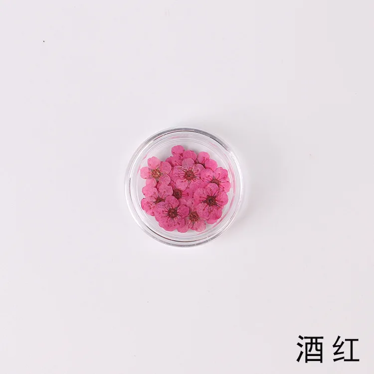 20pcs Nail art dried flower small plum pressed flower daffodil embossed diy natural flower sticker face decoration silk flower artificial & dried flora Artificial & Dried Flowers