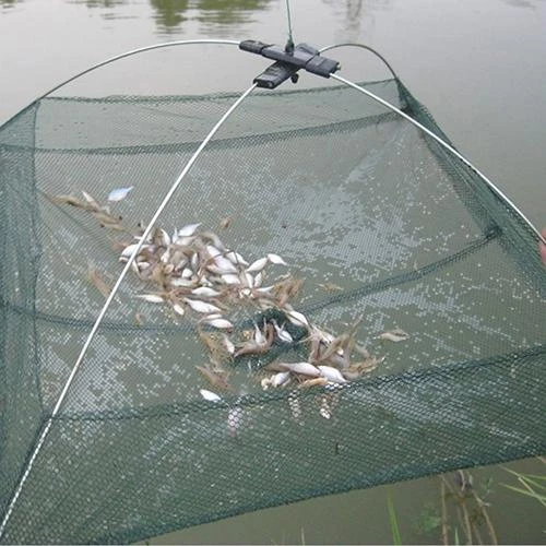 Folded Fishing Net Little Fish Shrimp Minnow Crab Baits Cast Mesh Trap Dip  Lift Net Lifting Catching Fish Net Catch Crab 60cm - AliExpress