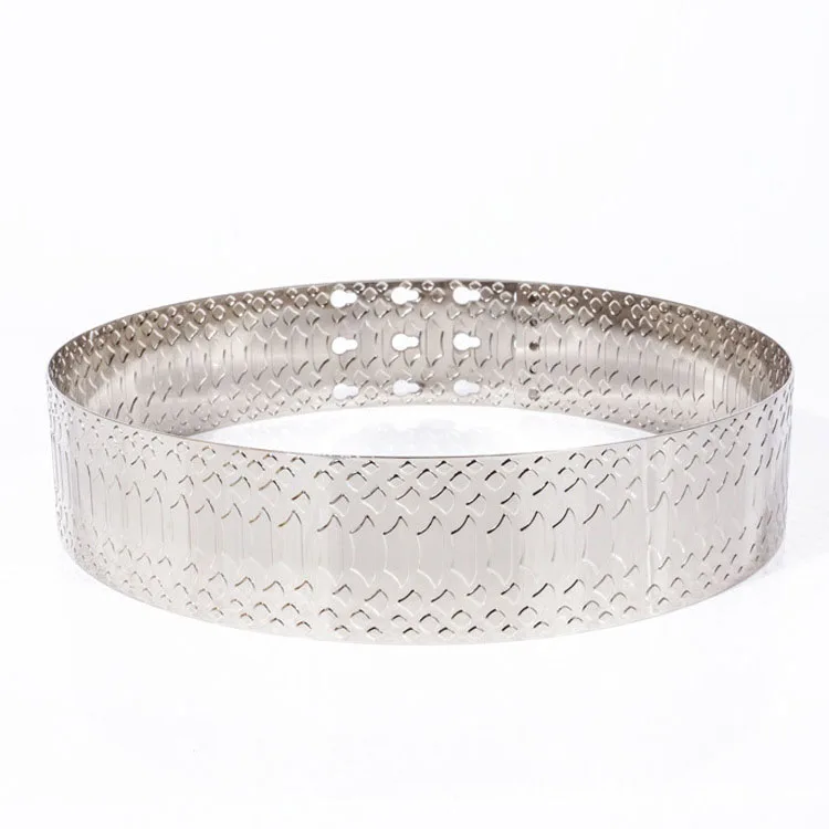 Silver Модные золотые, серебряные металлические чешуйки, широкий пояс, модный пояс, женские регулируемые цепи, пояс для талии, женское платье, ремни - Цвет: Silver