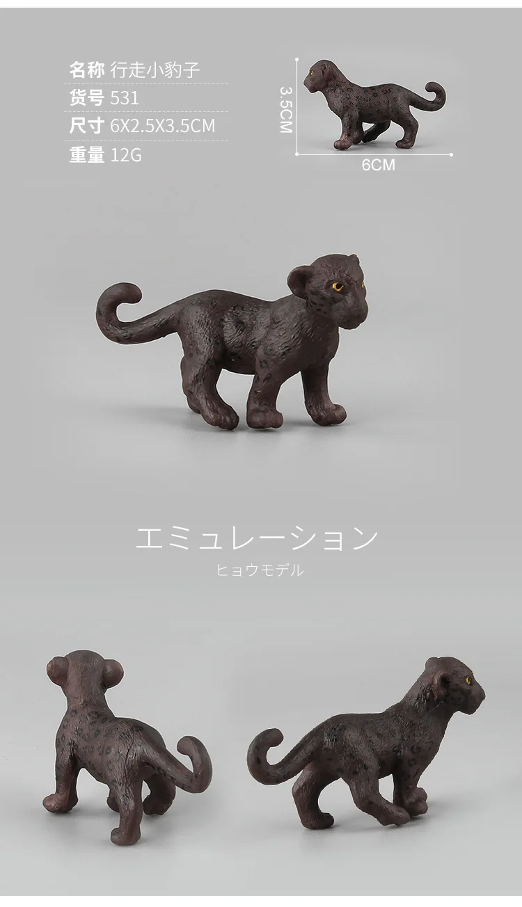 9090547523_1793268619