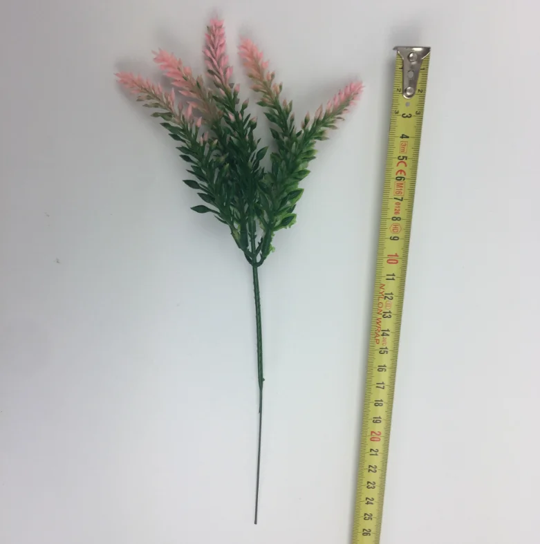 小5叉薰衣草 (7)