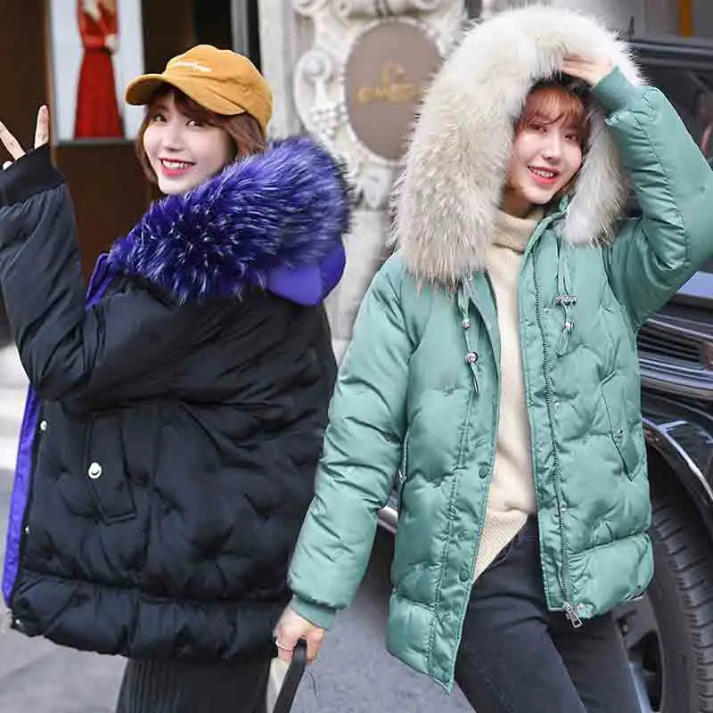 

2019 Autumn And Winter New Style Korean-style Large Fur Collar Short down Jacket Cotton-padded Clothes Women's Hot Sales Wholesa
