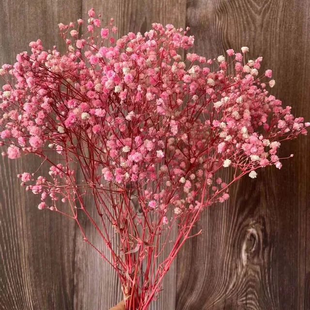 30g Babysbreath Natural Fresh Dried Preserved Flowers Real Forever Baby Breath Flower Branch For Diy Eternal Flower Material Artificial Dried Flowers Aliexpress