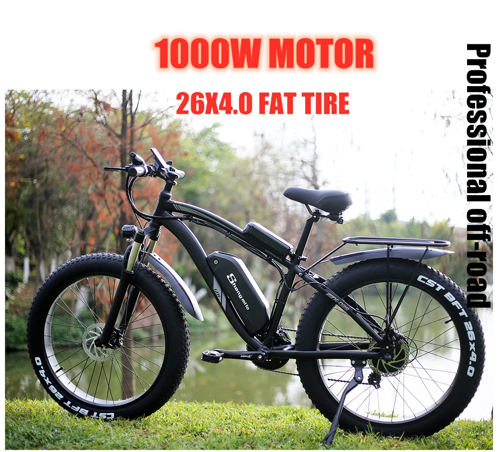 48 volt ebike